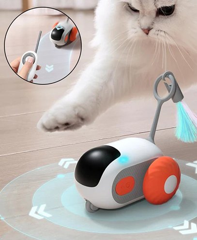ZoomiCar_Chase-homepage-1